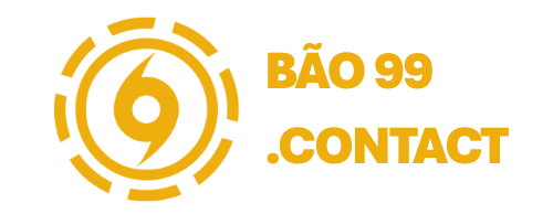Bao99