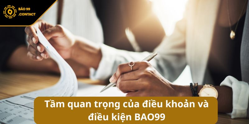 Điều khoản và điều kiện BAO99 – Quy tắc cho mọi hội viên 4 Điều khoản và điều kiện BAO99 – Quy tắc cho mọi hội viên