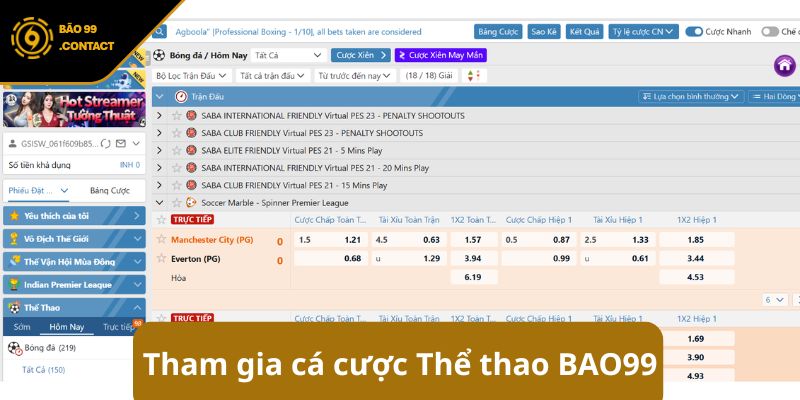 Điều gì làm nên sự khác biệt của Thể Thao BAO99 ? Bật mí ngay 6 Hướng dẫn tham gia cá cược Thể thao BAO99 chi tiết nhất